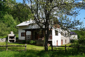 Отель Holiday house Krmpotic  Сень